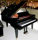 Fl�gel-Schimmel-174-T-schwarz-305764-1-c